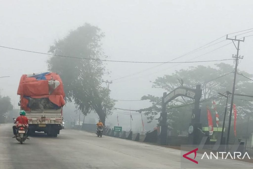 Penangkapan Pelaku Karhutla: Langkah Tegas Negara Lindungi Ekosistem