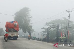Penangkapan Pelaku Karhutla: Langkah Tegas Negara Lindungi Ekosistem