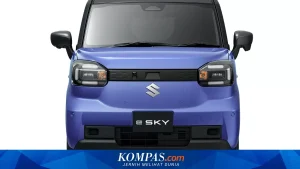 Perbandingan Suzuki e Sky dan BYD Raccoon: Duel Mobil Listrik Mini