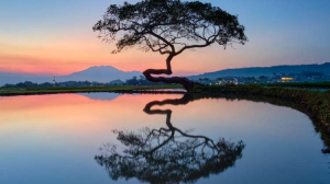Pesona Salatiga: Destinasi Wisata Hits nan Instagramable untuk Liburan 2026