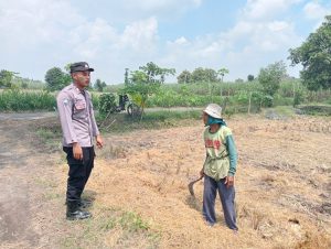 Polsek Sanankulon Rutin Dukung Program Ketahanan Pangan Pemerintah