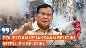 Prabowo Perintahkan Polisi dan Kejaksaan Usut Tuntas Pelaku Pembakaran Hutan