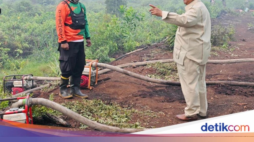 Prabowo Tinjau Langsung Penanganan Karhutla di Riau, Perkuat Pemadaman dan Penegakan Hukum