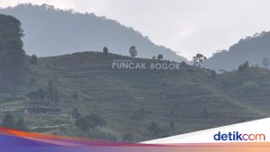 Puncak Bogor dalam Krisis: Pariwisata Mengubah Wajah Alam