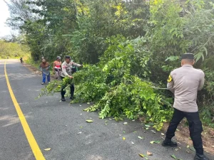 Semarak HUT ke-81 RI: Polri, TNI, Pemerintah, dan Warga Bersatu Bersihkan Jalan di Lingga Utara