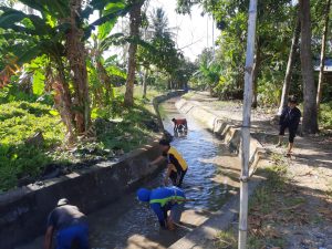 Sinergi Bhabinkamtibmas, Pemerintah Kelurahan, dan Warga Bersihkan Saluran Irigasi di Tiroang