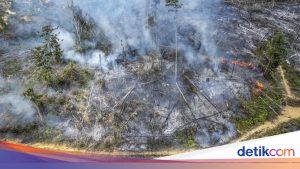 Strategi Pemerintah dalam Penanganan Karhutla: Water Bombing dan Teknologi Modifikasi Cuaca