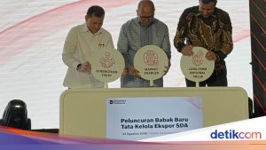 Susunan Lengkap Dewan Komisaris dan Direksi DSI: Bos Freeport Masuk Jajaran