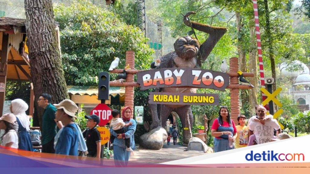 Taman Safari: Destinasi Favorit untuk Berinteraksi Dekat dengan Satwa