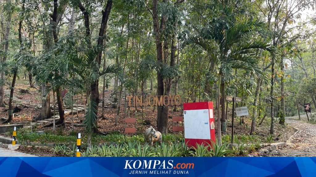 Tinjomoyo: Pilihan Tepat untuk Berolahraga Santai di Tengah Cuaca Panas Semarang