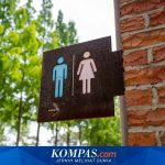 Toilet Umum Mewah Rp 11,2 Miliar di Jepang: Destinasi Wisata Unik yang Wajib Dikunjungi