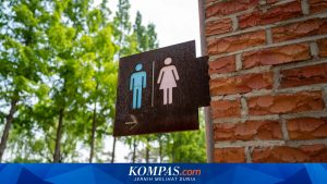 Toilet Umum Mewah Rp 11,2 Miliar di Jepang: Destinasi Wisata Unik yang Wajib Dikunjungi