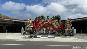 Travel Alert CDC AS untuk Bali: Dinkes Beri Tanggapan Terkait Virus Zika