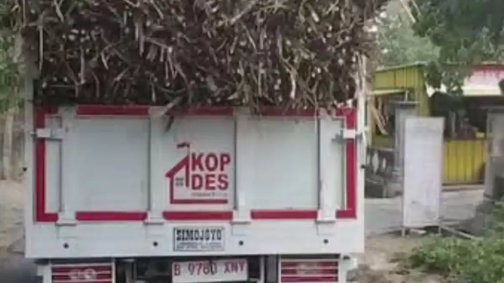 Truk Berlogo Kopdes Merah Putih Viral Diduga Sewa untuk Angkut Tebu