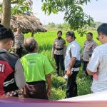 Wanita Berpenyakit Diabetes Ditemukan Meninggal di Area Persawahan Lombok Barat