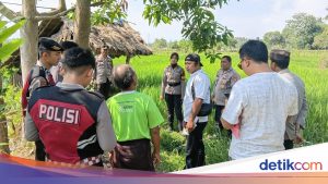 Wanita Berpenyakit Diabetes Ditemukan Meninggal di Area Persawahan Lombok Barat