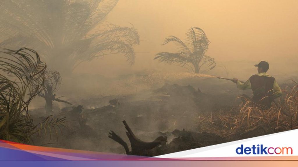 19 Perusahaan Terindikasi Sebagai Penyebab Kebakaran Hutan dan Lahan