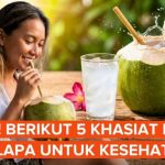 5 Khasiat Air Kelapa bagi Kesehatan Tubuh