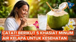 5 Khasiat Air Kelapa bagi Kesehatan Tubuh