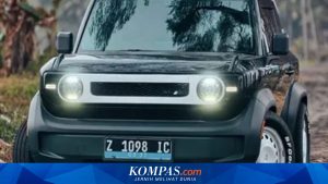 Biaya Kepemilikan VinFast VF3 Setelah 1 Tahun: Pengguna Berbagi Pengalaman