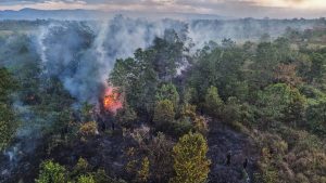 BPDLH Rancang Skema Pembiayaan Campuran untuk Mitigasi Bencana Iklim