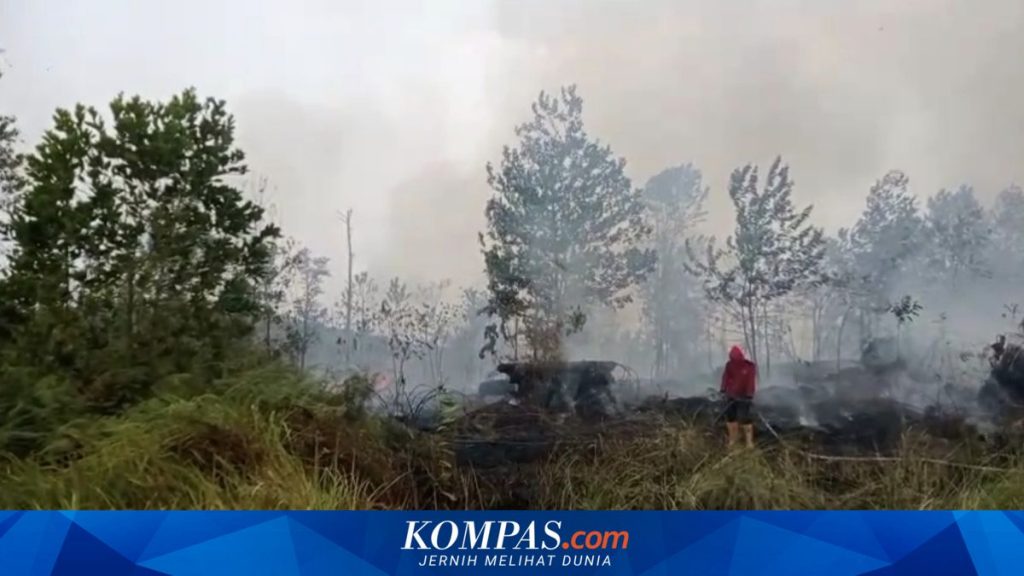 Dampak Kebakaran Hutan di Kalimantan: Anggota DPR Soroti Ancaman terhadap Flora dan Fauna Endemik Indonesia