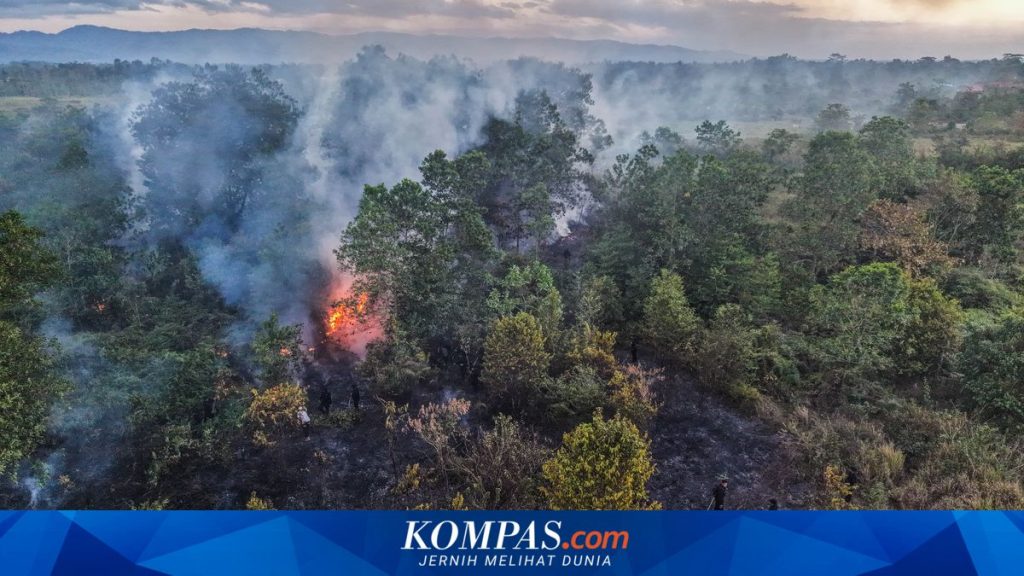 Desakan kepada Pemerintah untuk Lebih Memperhatikan Dampak Kebakaran Hutan dan Lahan terhadap Kesehatan