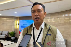 Dirut Bulog Tingkatkan Kualitas Beras Pemerintah Melalui Optimalisasi Tata Kelola