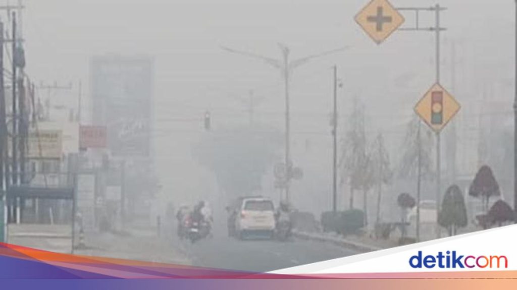 DPR Minta KLB Kabut Asap Ditetapkan di Daerah Terdampak Kebakaran Hutan