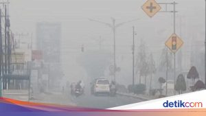 DPR Minta KLB Kabut Asap Ditetapkan di Daerah Terdampak Kebakaran Hutan