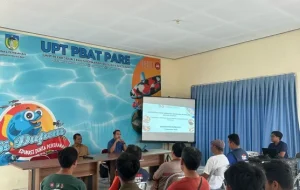 Inovasi Pakan Bervaksin Cegah Penyakit Lele, PSDKU UB Kediri Lakukan Uji Coba