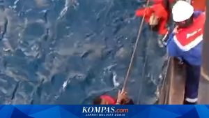 Kronologi dan Dampak Kecelakaan Kapal Virgo Transport 8 di Laut Jawa: 6 Tewas, 140 Orang Hilang