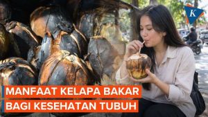Manfaat Kelapa Bakar untuk Kesehatan: Perbandingan dengan Kelapa Segar
