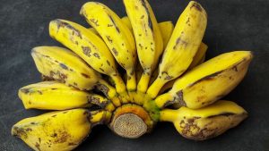 Mengatasi Kerentanan Pisang Cavendish: Potensi Pisang Liar Indonesia Menjadi Varietas Unggul Tahan Perubahan Iklim