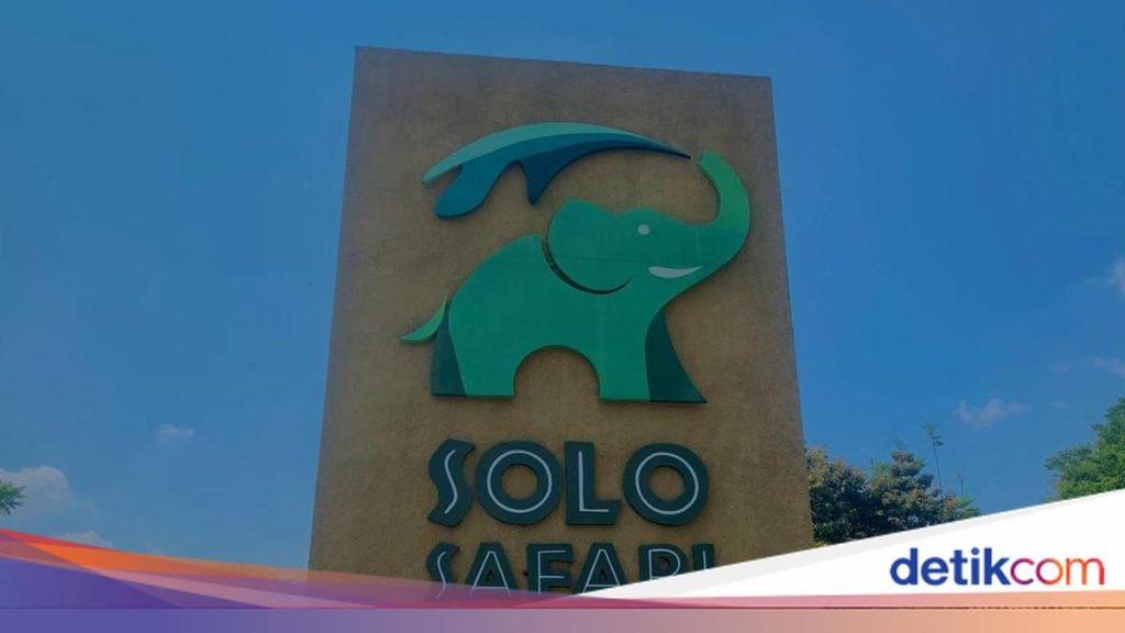 Panduan Liburan ke Solo Safari: Hal Penting yang Wajib Diketahui Wisatawan