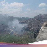 Pegawai dan Staf Terdampak Asap Kebakaran TPA Mandung Mendesak Pemeriksaan Kesehatan
