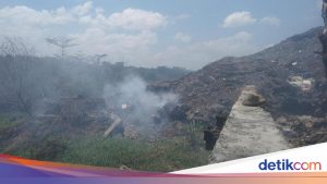 Pegawai dan Staf Terdampak Asap Kebakaran TPA Mandung Mendesak Pemeriksaan Kesehatan
