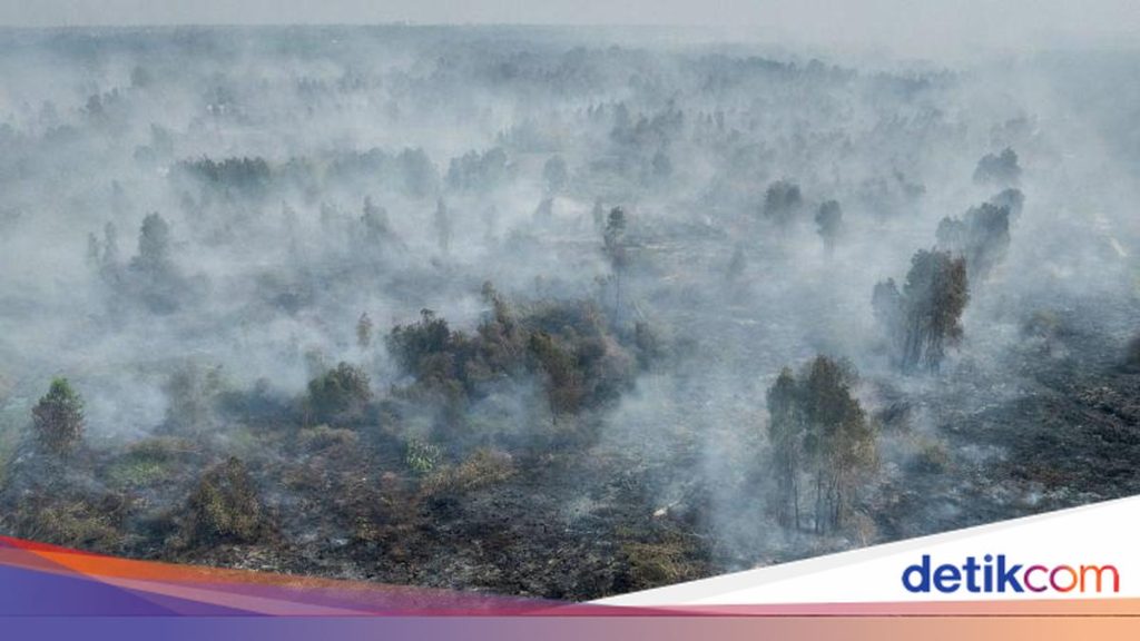 Pemerintah Indonesia Jalin Koordinasi dengan ASEAN Atasi Kabut Asap Lintas Batas