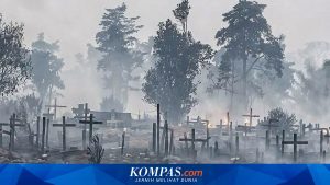 Pemerintah Optimalkan Potensi Hujan Buatan untuk Atasi Kabut Asap Karhutla di Kalbar