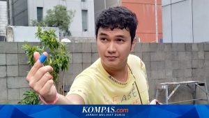Perjalanan Politik Aldi Taher: Dari PKS, Perindo, Hingga Kini Bergabung dengan Demokrat