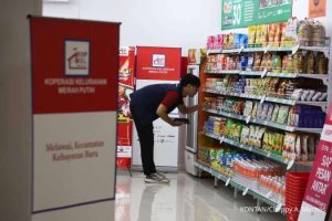 Perpres KDKMP Disiapkan: Kopdes Merah Putih Bertugas Salurkan Gas LPG 3 Kg dan Pupuk