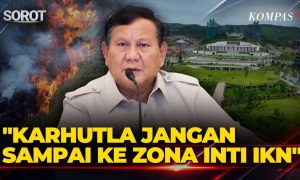 Prabowo: Ancaman Karhutla di IKN Harus Dicegah hingga ke Zona Inti