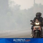 Prioritaskan Kesehatan Anak: Hindari Paparan Asap Karhutla